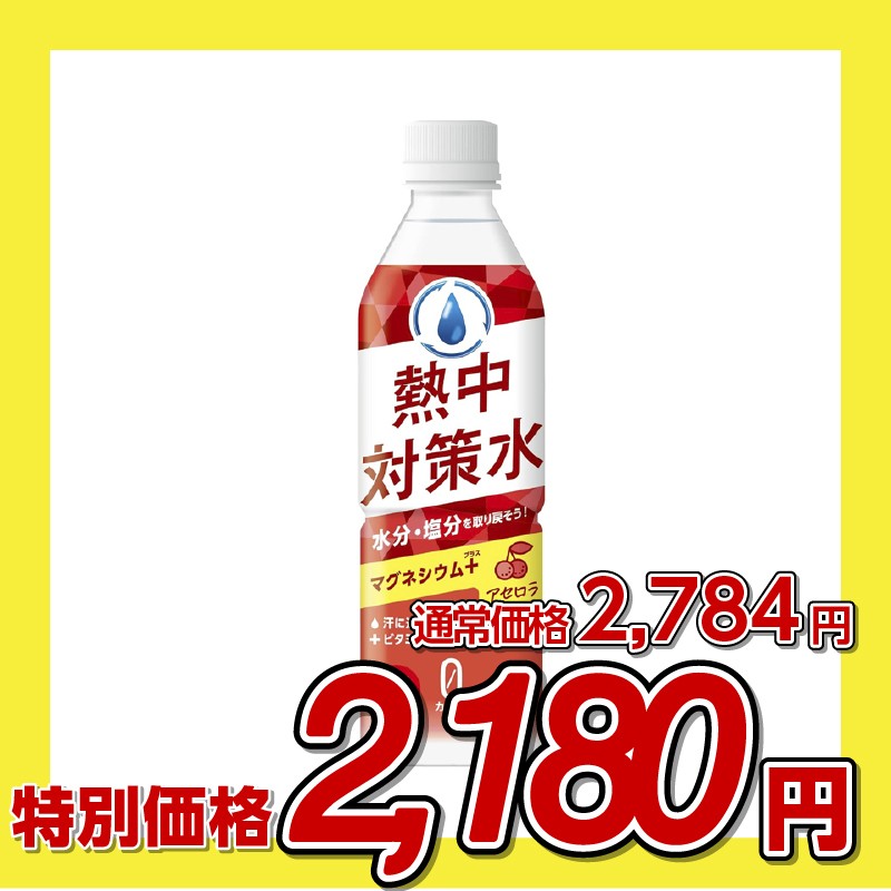赤穂化成 熱中対策水アセロラ味