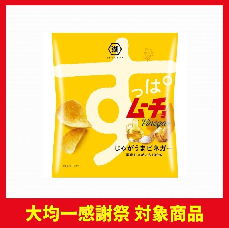 湖池屋 すっぱムーチョチップスさっぱりビネガー味