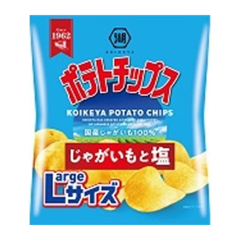 湖池屋 ポテトチップス じゃがいもと塩 Largeサイズ